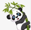 91免会员版APP图片